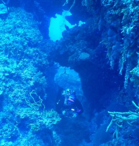big-reef-rec-dive