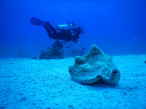 rec-dive