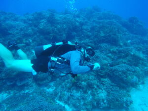 rec-dive