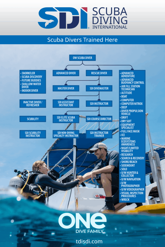 Training SDI-courses-flowchart