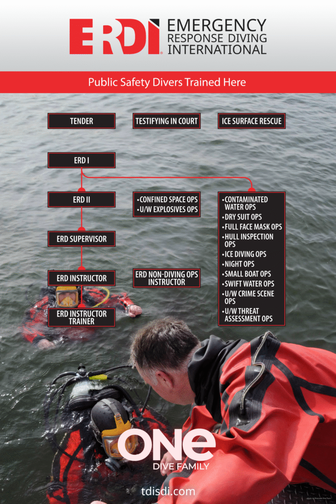 Training ERDI-courses-flowchart